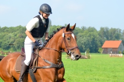 laupheim-2013_gelaendepferde-a-092-jpg