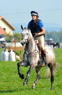laupheim-2013_gelaendepferde-a-098-jpg