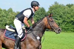 laupheim-2013_gelaendepferde-a-101-jpg