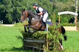 laupheim-2013_gelaendepferde-a-102-jpg