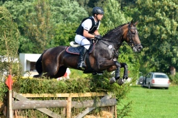 laupheim-2013_gelaendepferde-a-103-jpg