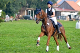 laupheim-2013_gelaendepferde-a-106-jpg