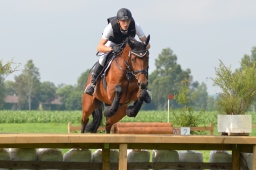 laupheim-2013_gelaendepferde-a-110-jpg