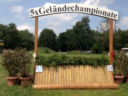 laupheim-2013_gelaendepferde-a-140-jpg