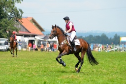 laupheim-2013_gelaendepferde-a-012-jpg