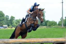 laupheim-2013_gelaendepferde-a-028-jpg