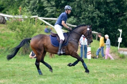 laupheim-2013_gelaendepferde-a-029-jpg
