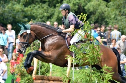 laupheim-2013_gelaendepferde-a-036-jpg