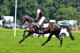 laupheim-2013_gelaendepferde-a-041-jpg