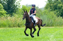 laupheim-2013_gelaendepferde-a-053-jpg