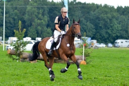 laupheim-2013_gelaendepferde-a-068-jpg