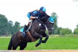 laupheim-2013_gelaendepferde-a-071-jpg