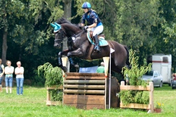 laupheim-2013_gelaendepferde-a-073-jpg