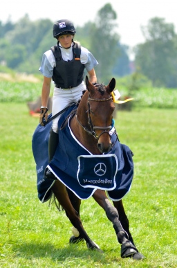 laupheim-2013_gelaendepferde-a-085-jpg
