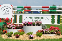 laupheim-2013_gelaendepferde-a-093-jpg