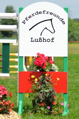 laupheim-2013_gelaendepferde-a-094-jpg