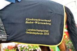 laupheim-2013_gelaendepferde-a-116-jpg