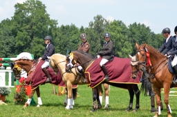 laupheim-2013_gelaendepferde-a-122-jpg