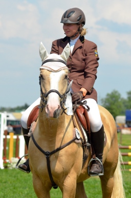 laupheim-2013_gelaendepferde-a-140-jpg