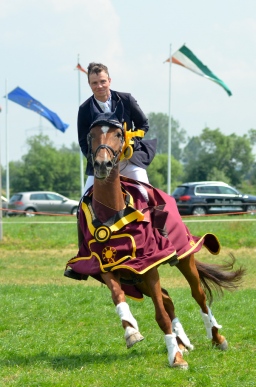 laupheim-2013_gelaendepferde-a-146-jpg