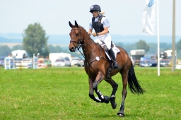 laupheim-2013_gelaendepferde-a-062-jpg