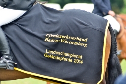 laupheim-2014_siegerehrung-033-jpg