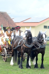 laupheim-2014_siegerehrung-048-jpg