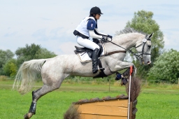 laupheim-2014_vl-cdv-cup-061-jpg