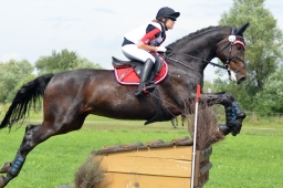 laupheim-2014_vl-cdv-cup-064-jpg