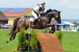 laupheim-2014_vl-cdv-cup-012-jpg