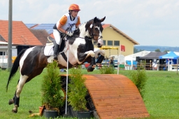 laupheim-2014_vl-cdv-cup-019-jpg