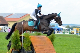 laupheim-2014_vl-cdv-cup-021-jpg