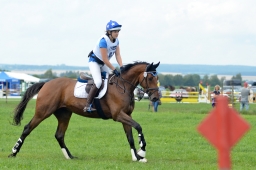 laupheim-2014_vl-cdv-cup-024-jpg