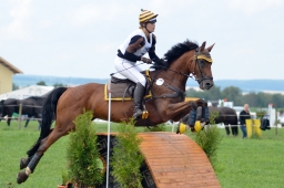 laupheim-2014_vl-cdv-cup-038-jpg