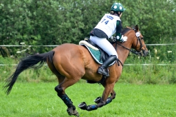 laupheim-2014_vl-cdv-cup-056-jpg