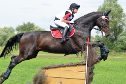 laupheim-2014_vl-cdv-cup-064-jpg