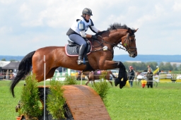 laupheim-2014_vl-cdv-cup-086-jpg