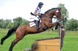 laupheim-2014_vl-cdv-cup-096-jpg
