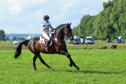 laupheim-2014_vl-abteilung1-092-jpg