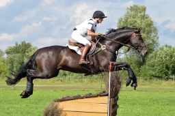 laupheim-2014_vl-abteilung1-003-jpg