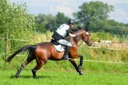laupheim-2014_vl-abteilung1-029-jpg