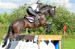 laupheim-2014_vl-abteilung1-037-jpg