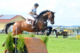 laupheim-2014_vl-abteilung1-040-jpg