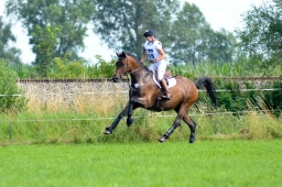 laupheim-2014_vl-abteilung1-043-jpg