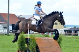 laupheim-2014_vl-abteilung1-047-jpg