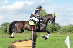 laupheim-2014_vl-abteilung1-053-jpg