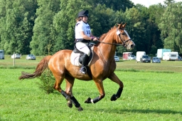 laupheim-2014_vl-abteilung1-073-jpg
