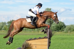 laupheim-2014_vl-abteilung1-074-jpg