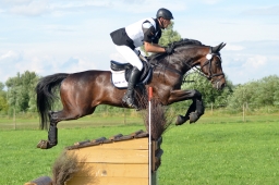 laupheim-2014_vl-abteilung1-086-jpg