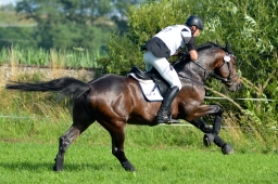 laupheim-2014_vl-abteilung1-089-jpg
